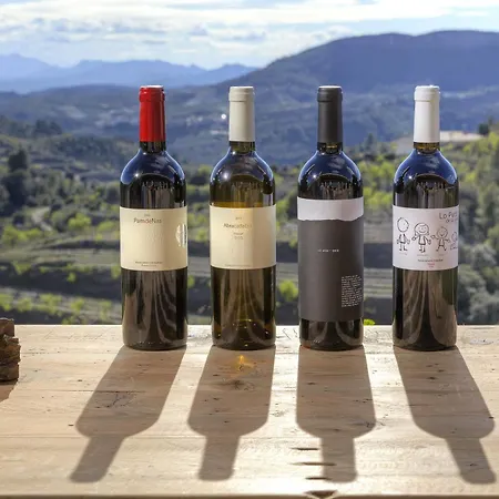 Отель Trossos Del Priorat